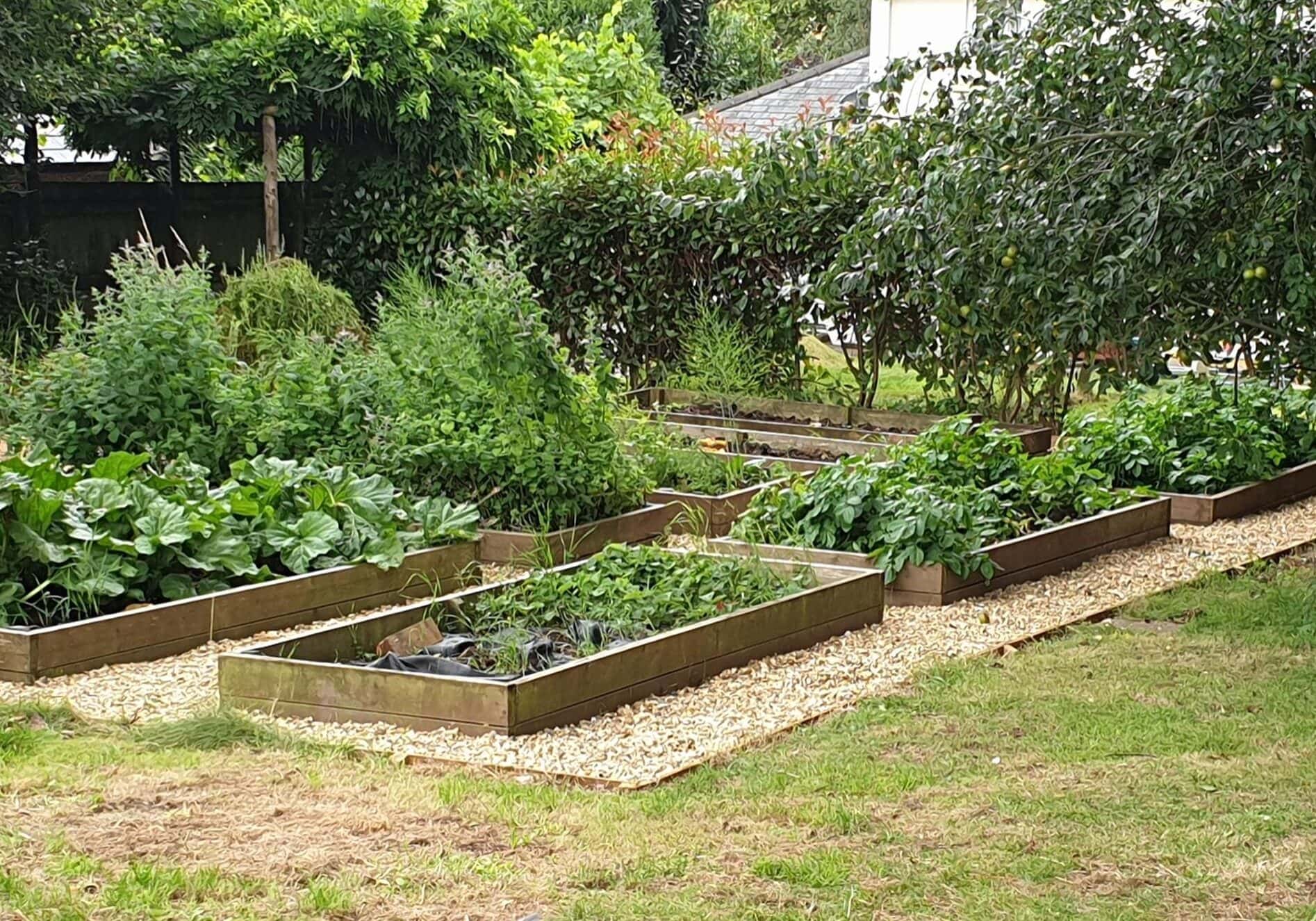 Garden Landscaping
